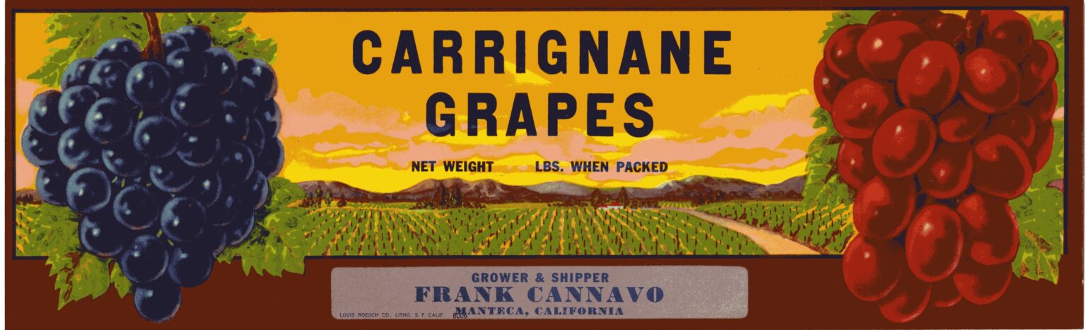 Carrignane Grapes